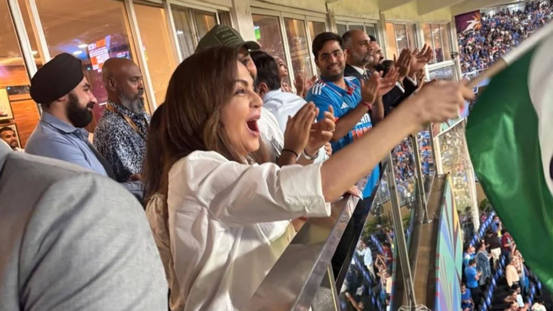 Description of the pic