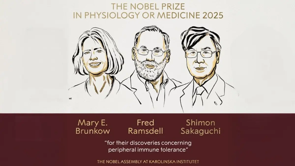 Mary E Brunkow, Fred Ramsdell, Shimon Sakaguchi Get Nobel In Medicine For Discoveries On Peripheral Immune Tolerance