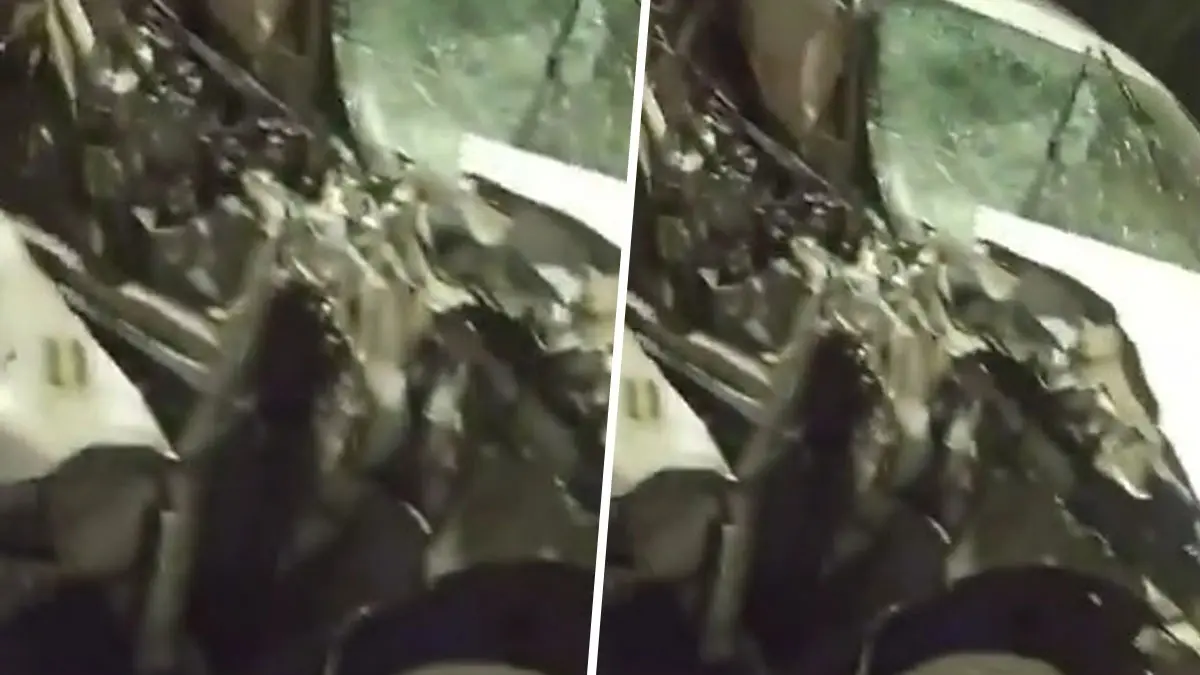 Noida Accident: ओवरटेक के चक्कर में गई जान, नोएडा-भंगेल एलिवेटेड रोड पर ट्रक से टकराई तेज रफ्तार जगुआर कार, 1 की मौत Noida Road Accident