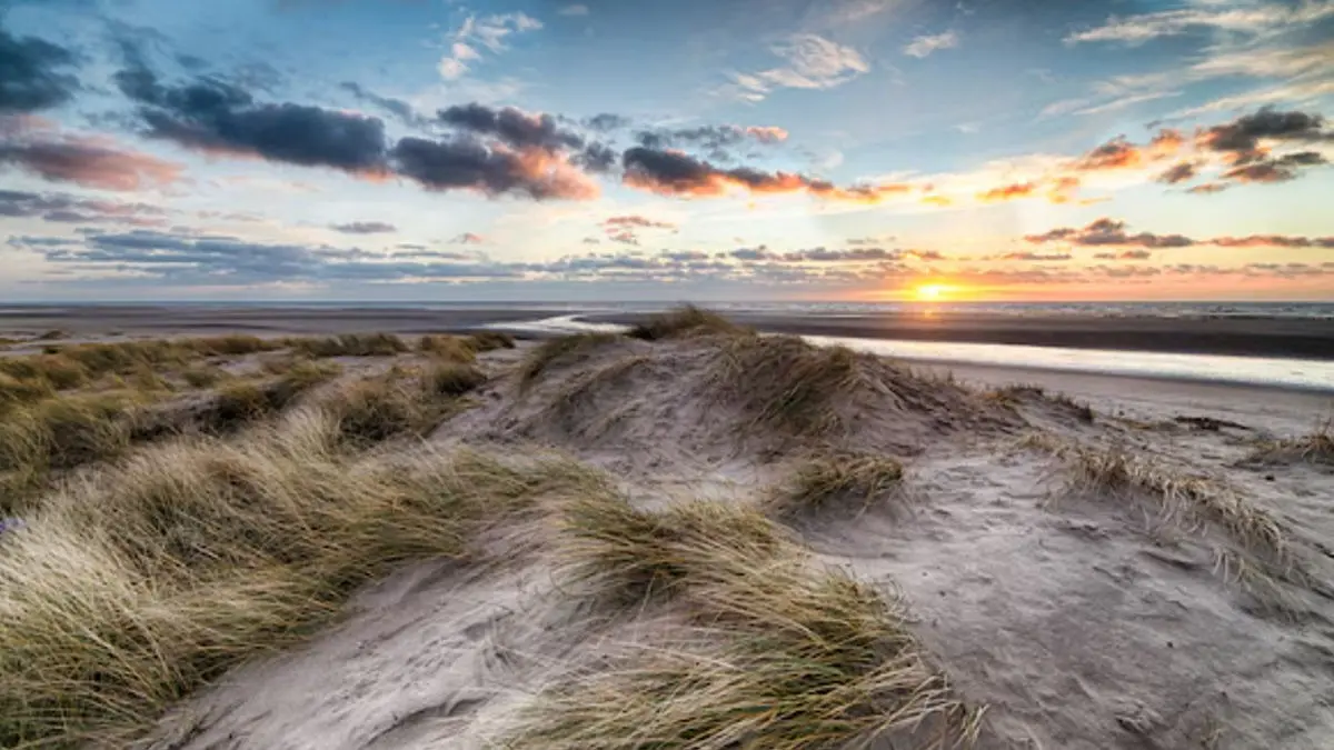 North Sea’s Giant Sand Mounds Rewrote Earth’s Geological Rules