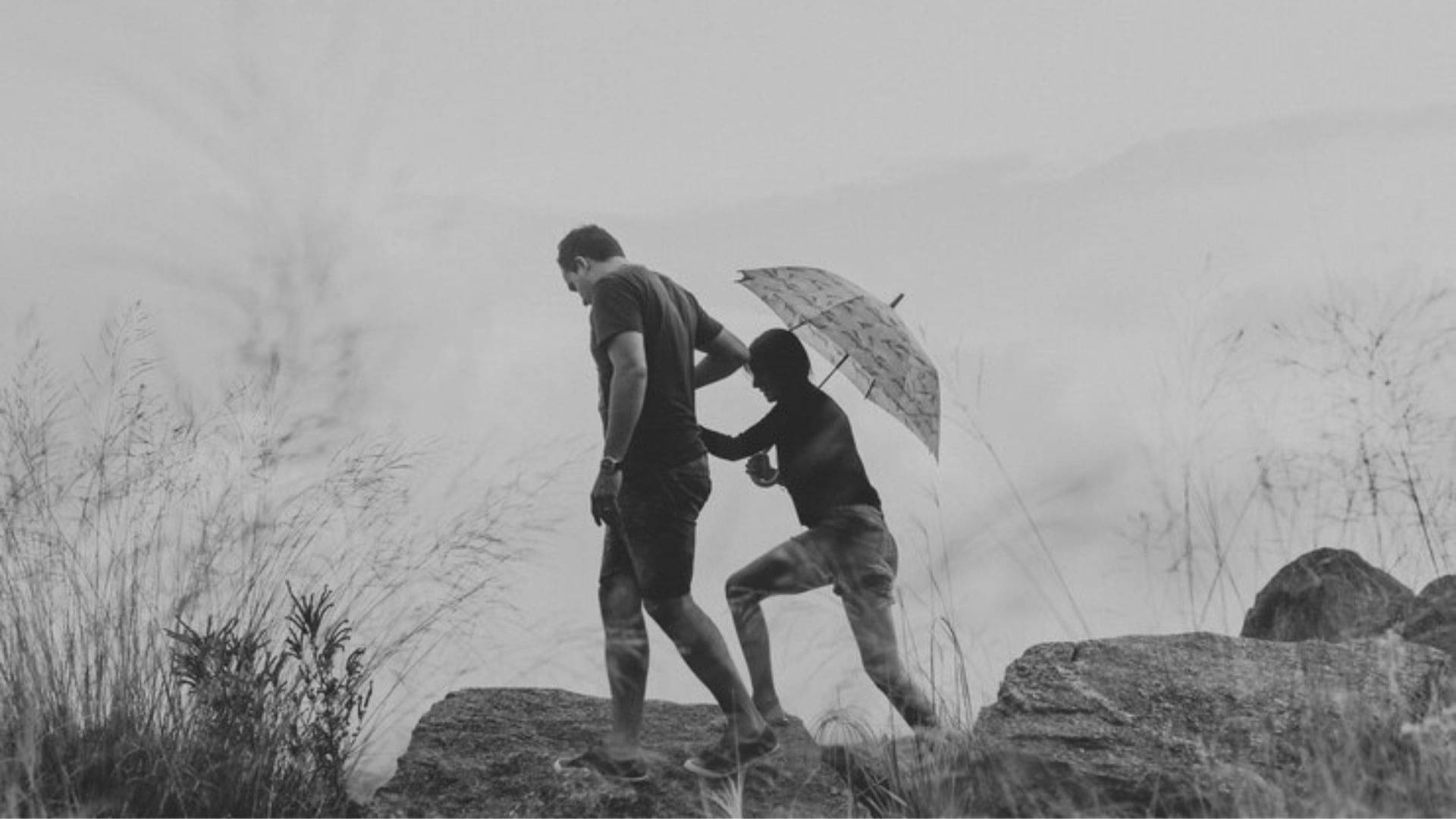 Description of the pic