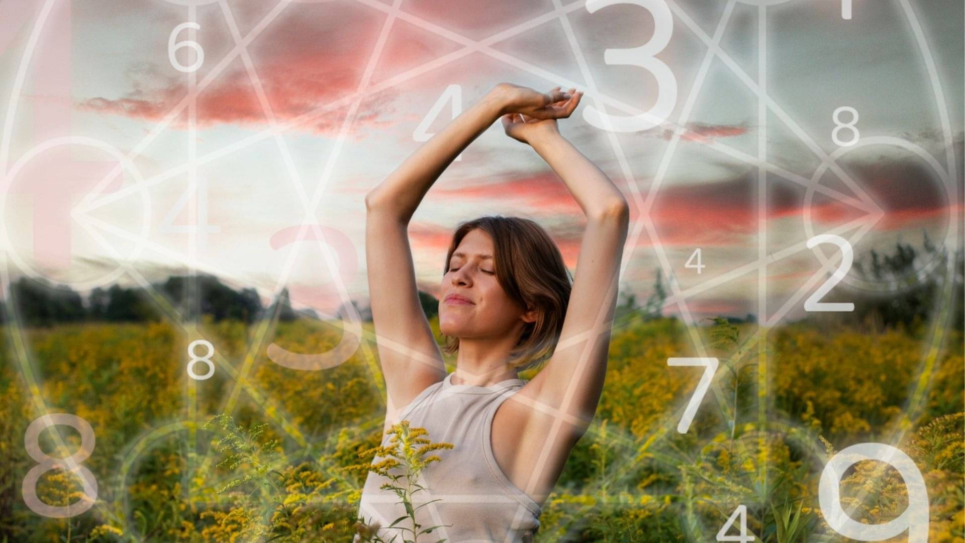 Description of the pic