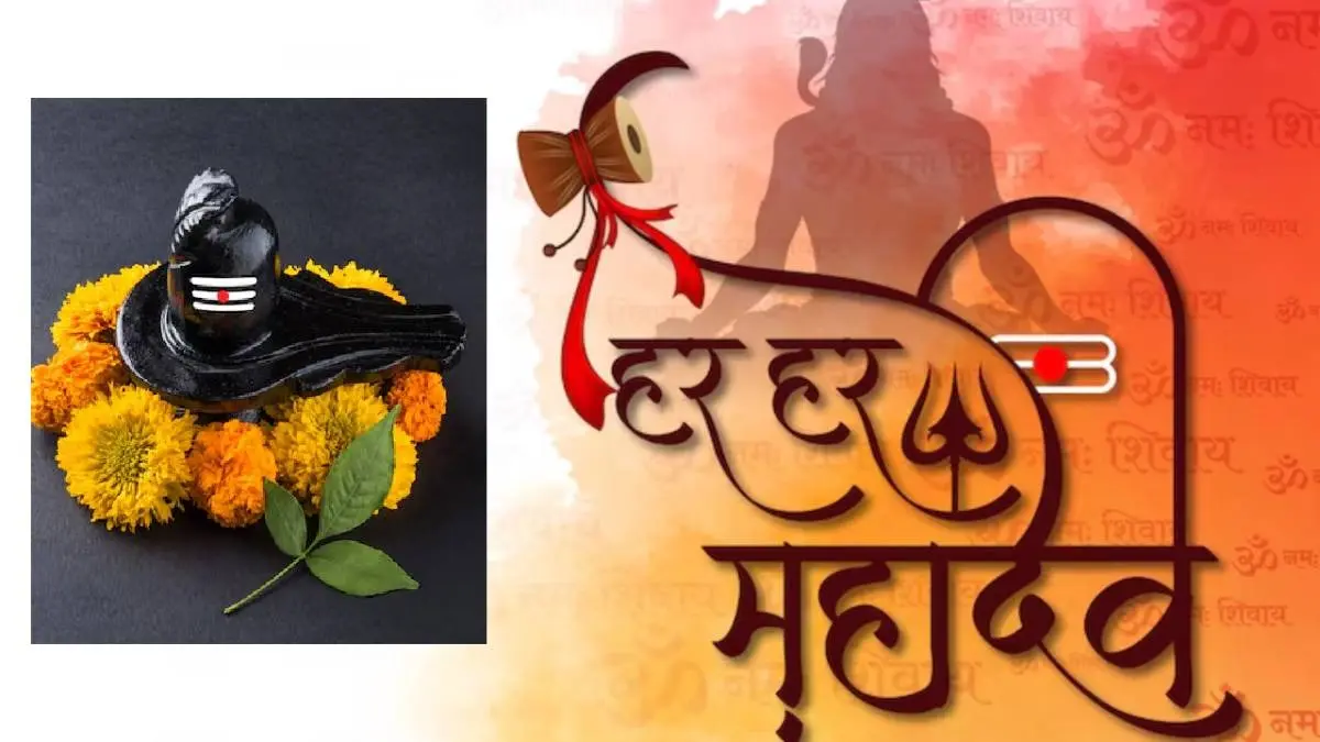offer these 7 types of leaves on Shivling in Sawan