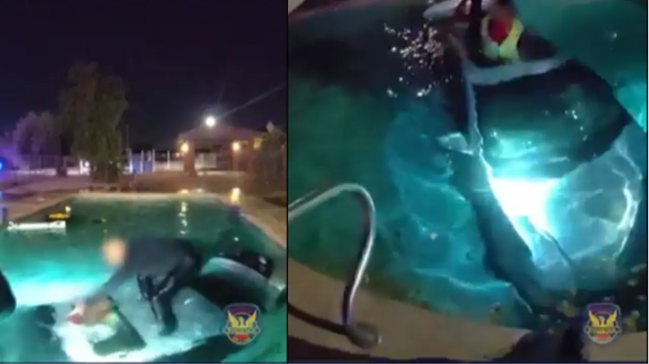 On Camera: Man Drives Car Into Swimming Pool, Here's What Happens Next On Camera: Man Drives Car Into Swimming Pool, Here's What Happens Next