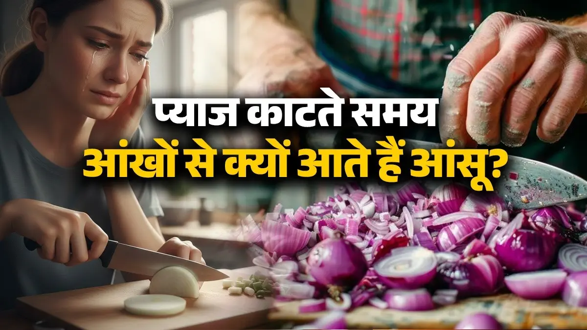 Onion Cry: प्याज काटते समय आंखों से क्यों आते हैं आंसू? जानें लें यह वजह Onion Cry