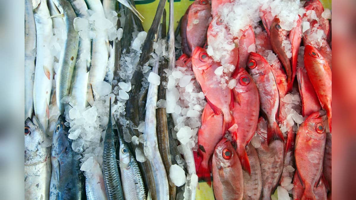 Open Sale Of Meat, Fish To Be Banned Near Schools, Religious Sites, Crowded Public Places In This State