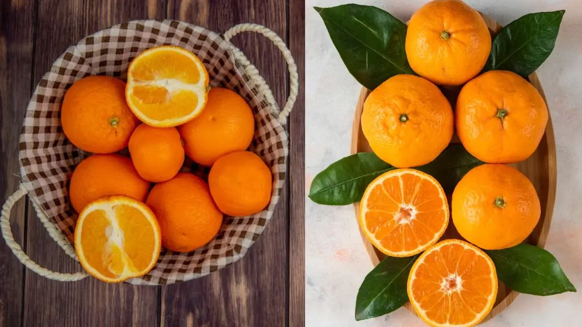 Orange Health Tips: रोज एक संतरा खाने से शरीर को मिलते हैं ये फायदे, जानें खाने का सही समय Orange Health Tips