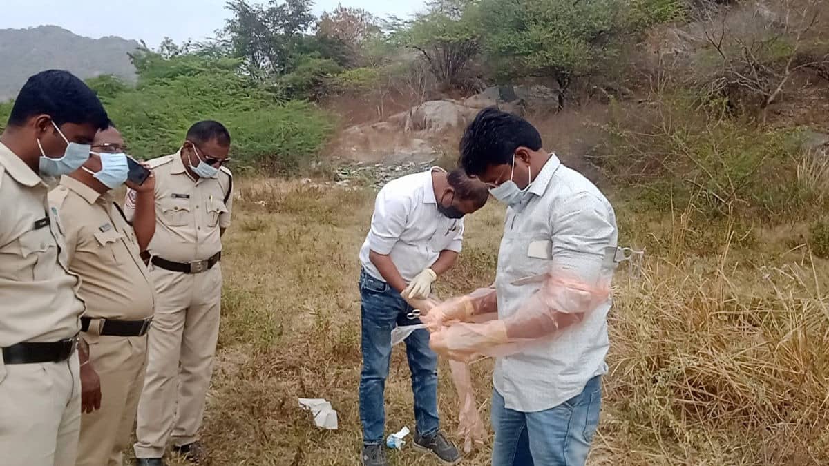 Over 300 Dogs Poisoned, Killed In Telangana, 9 Booked Including Sarpanch, Over 120 Carcasses Found 