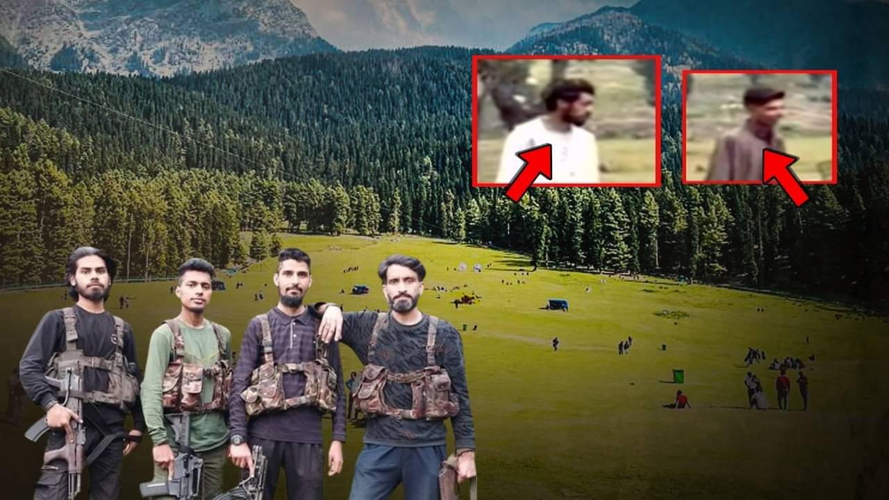 Description of the pic