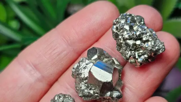 Description of the pic