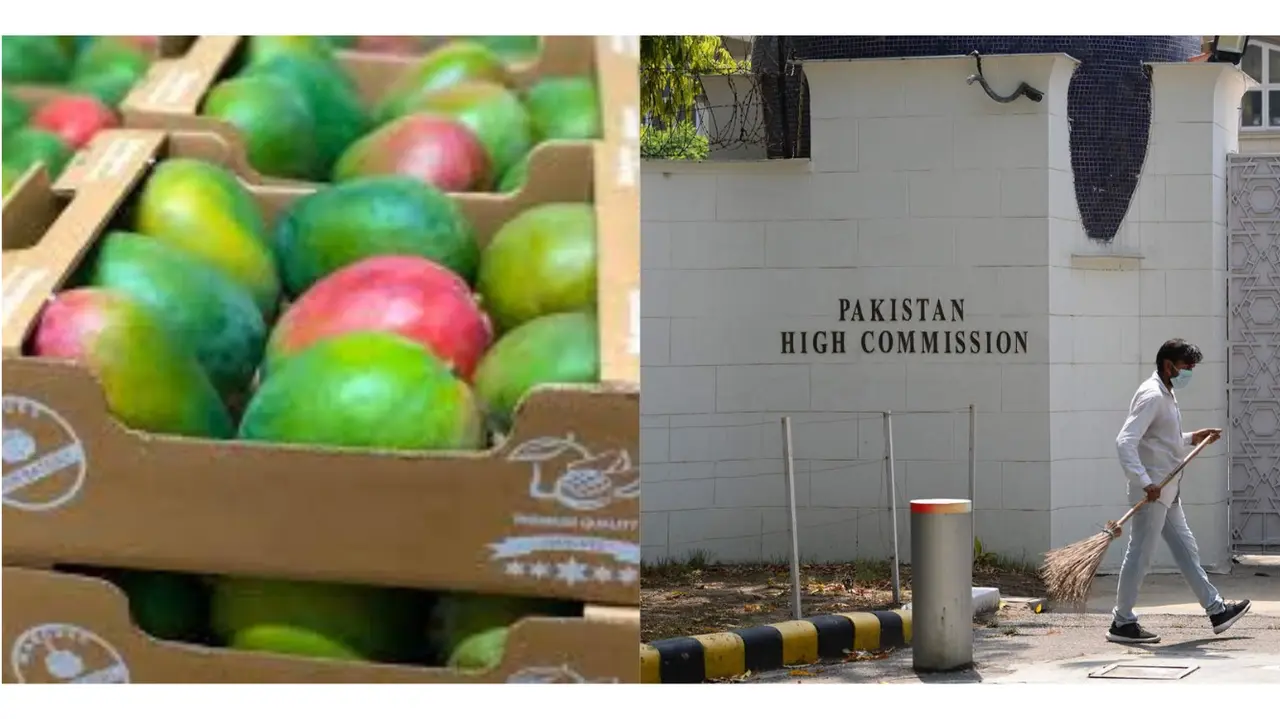 Mango Diplomacy: Pakistan High Commission Sends Mangoes to Opp’n MPs Including Rahul Gandhi Pak High Commission