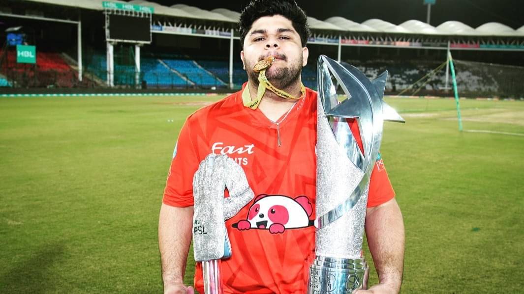 Description of the pic