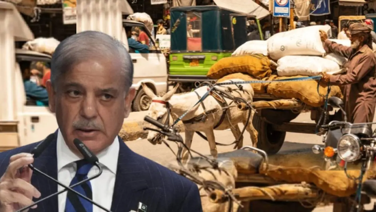 Pakistan donkey trade