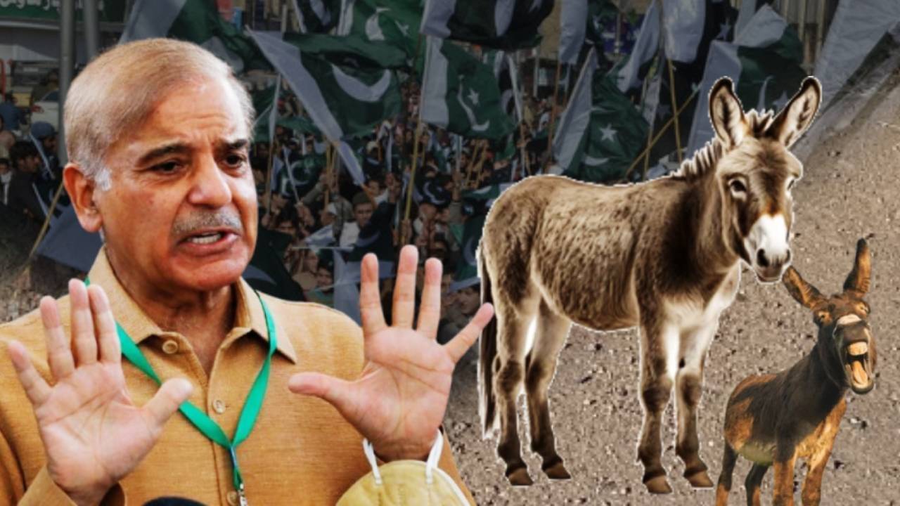 Pakistan PM Shahbaz Sharif