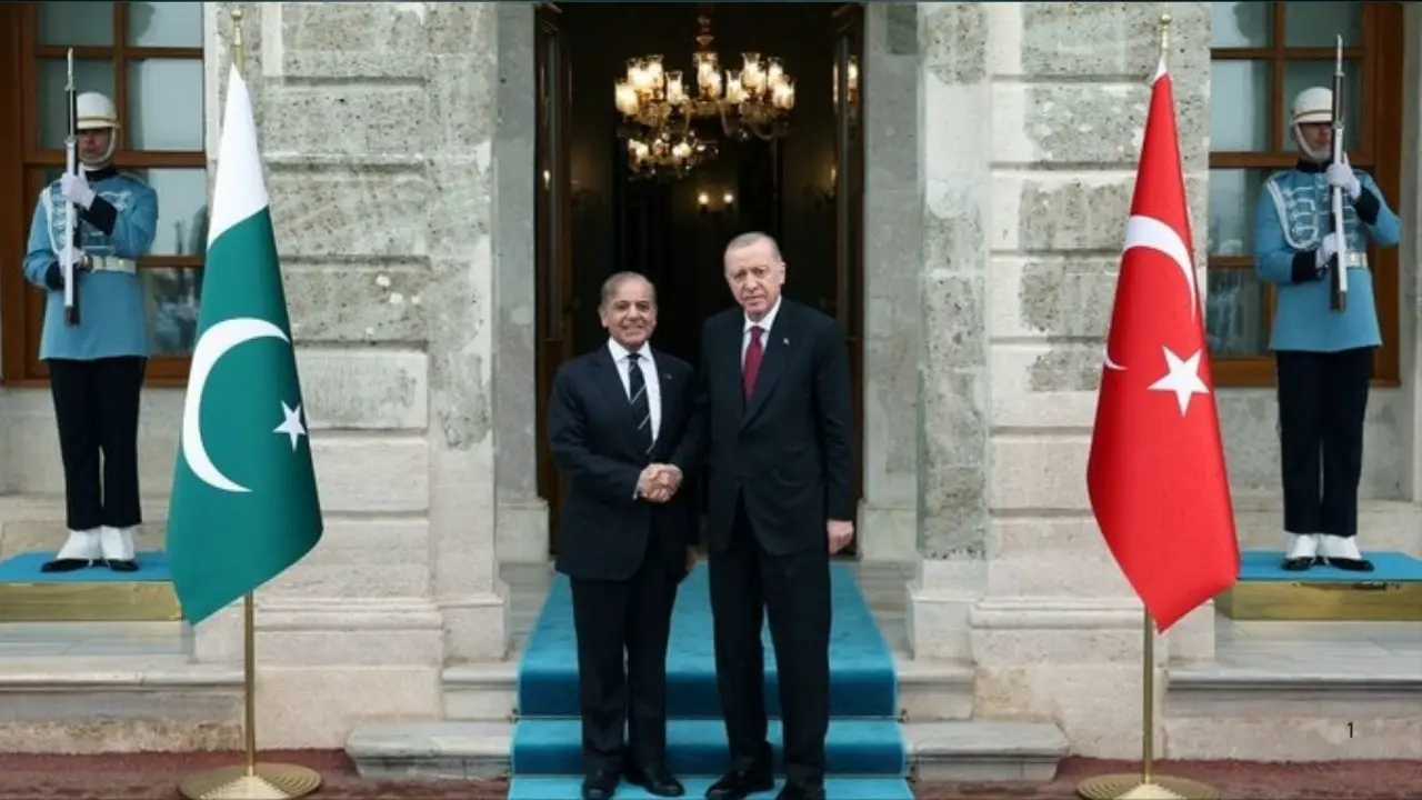 Pakistan pm shehbaz sharif meets Turkish President Erdogan