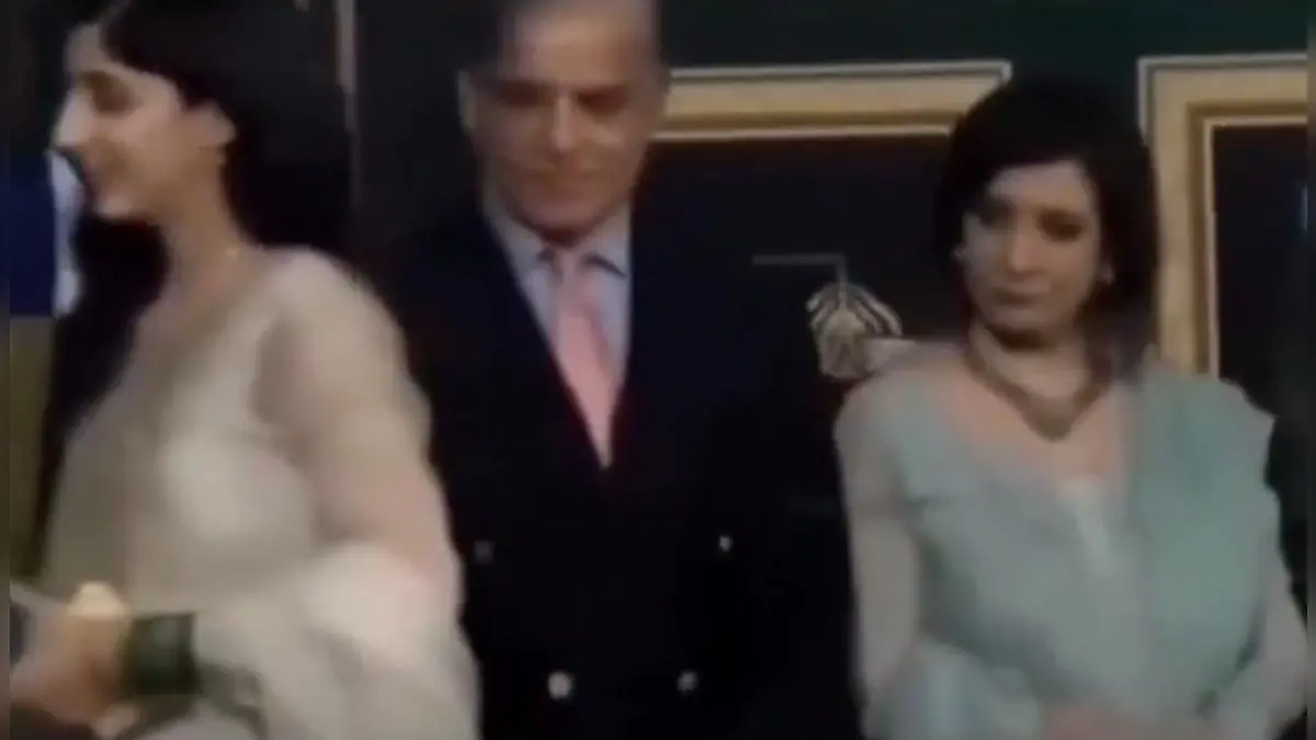 Pakistan's Prime Minister, Shebaz Sharif, 'deep-scanning' actress Mawra Hocane