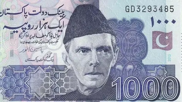 Pakistani currency