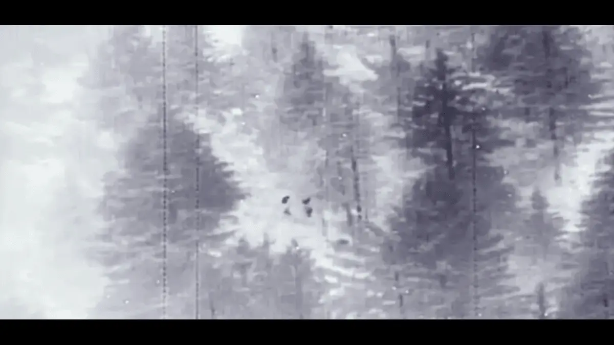 Pakistani terrorists neutralised