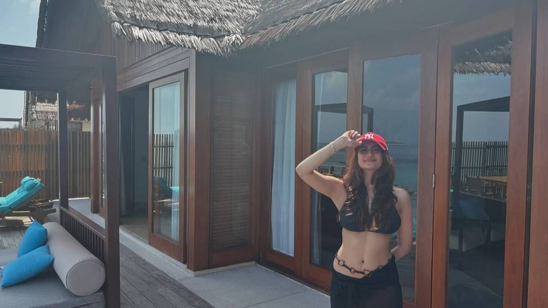 Description of the pic