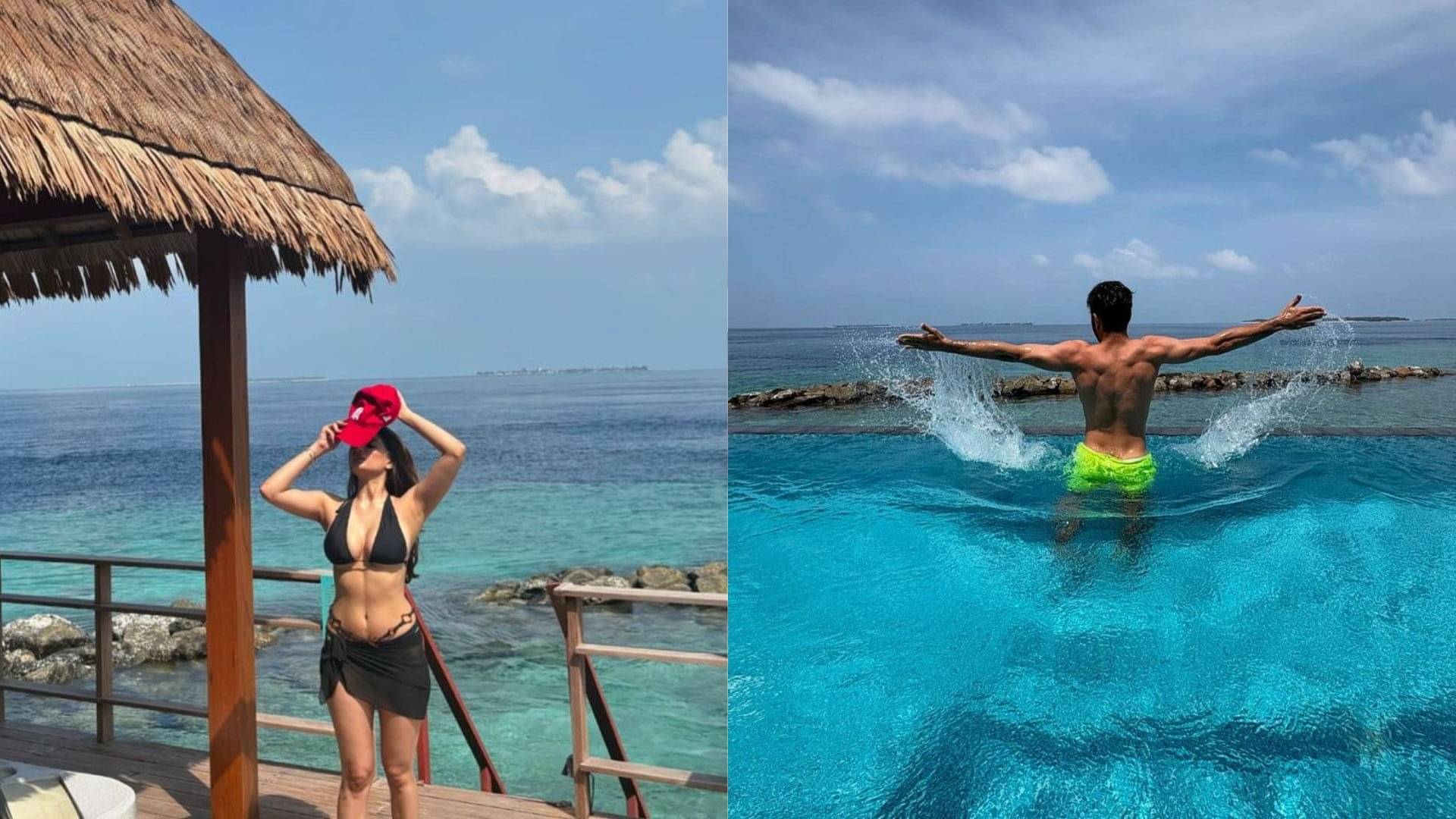 Description of the pic