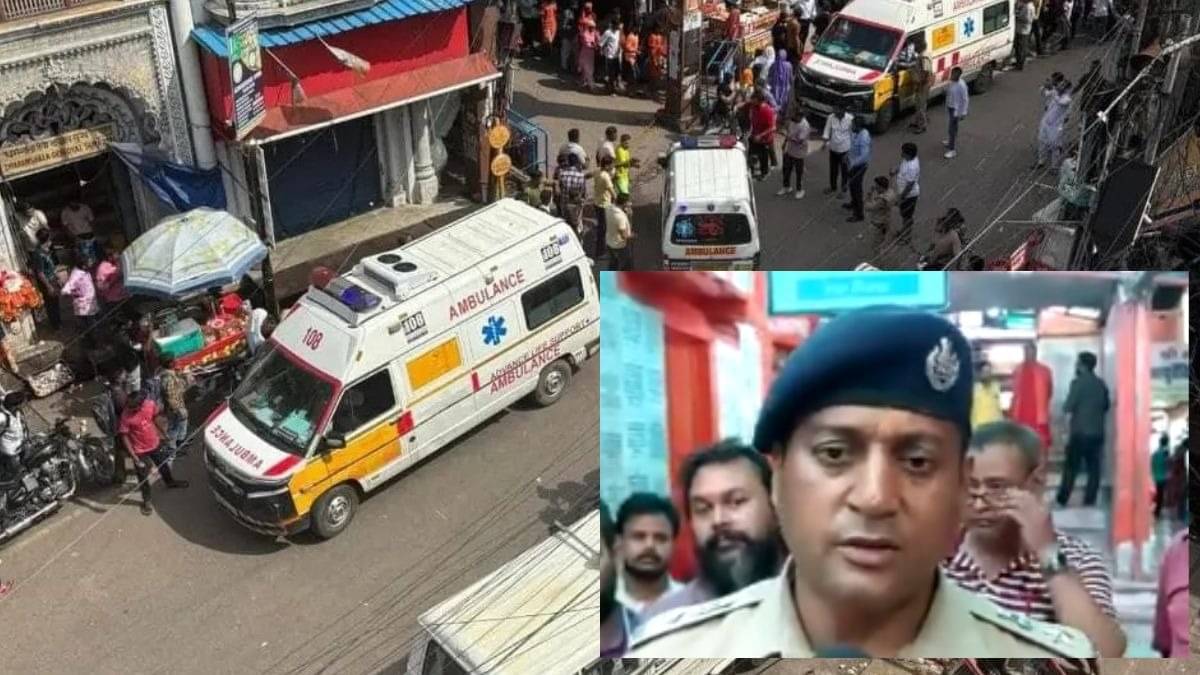 Description of the pic