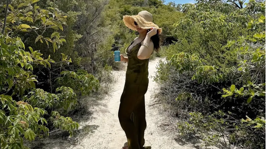 Description of the pic