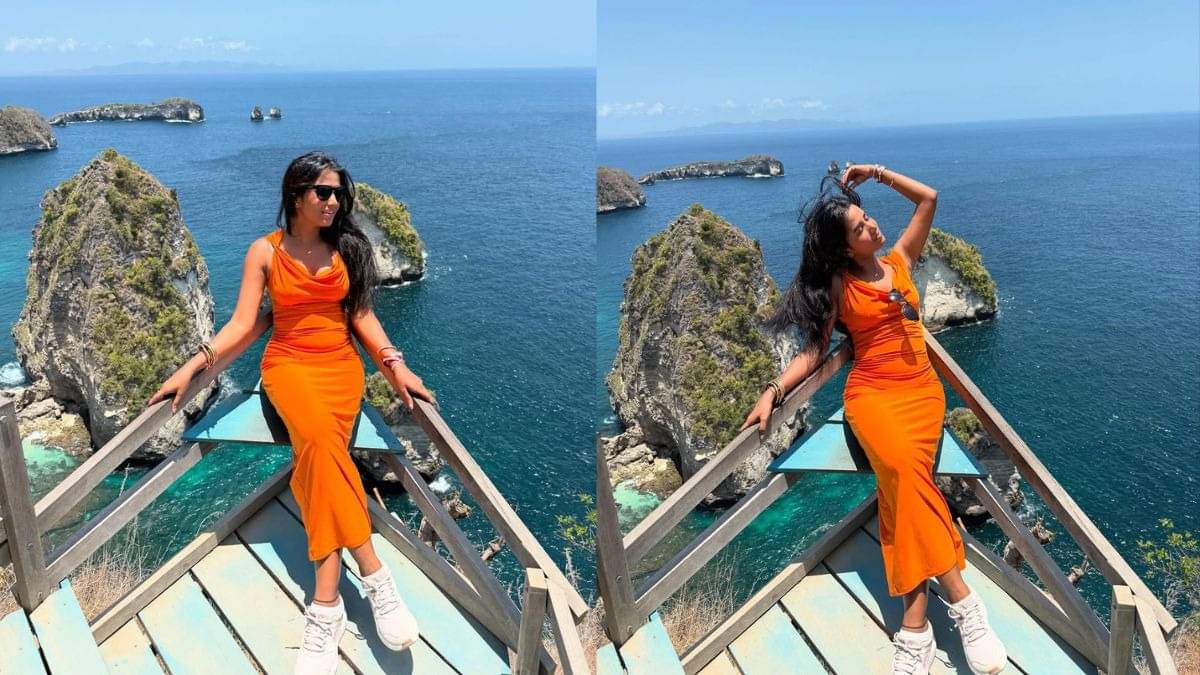 Description of the pic