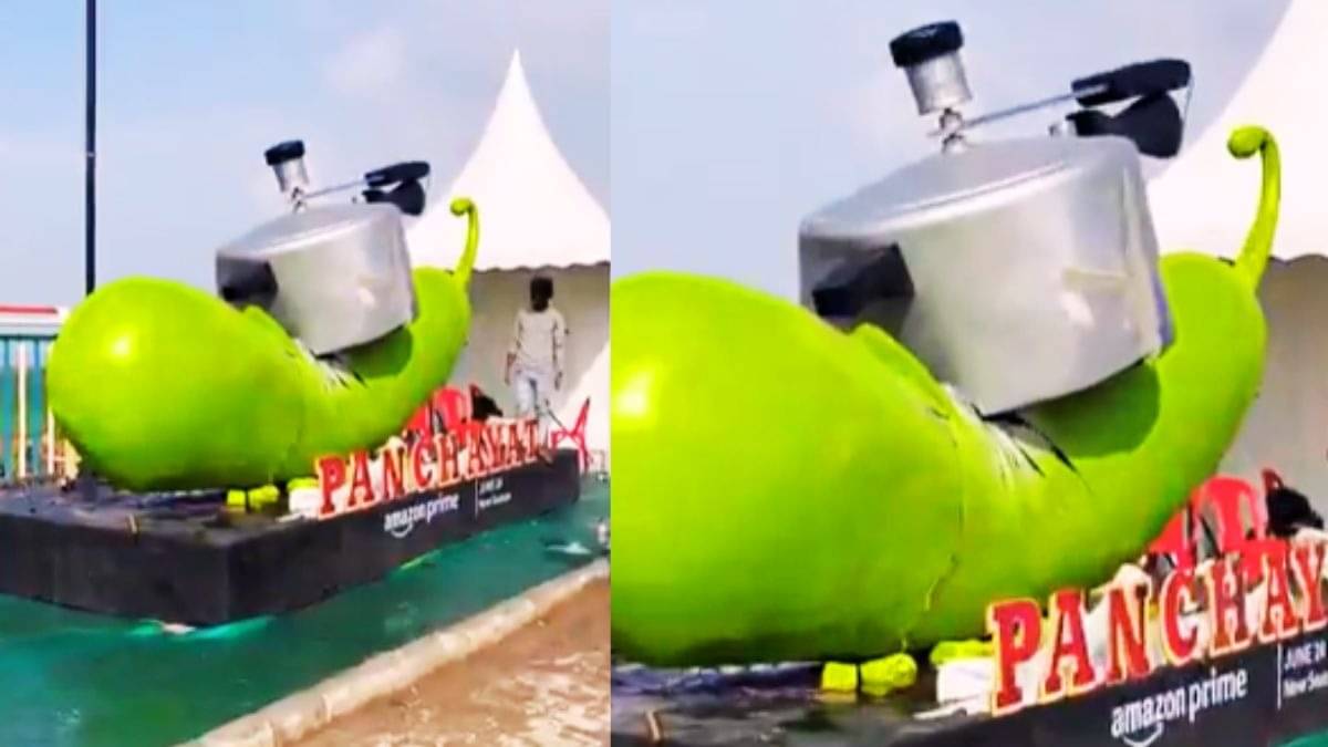 Description of the pic