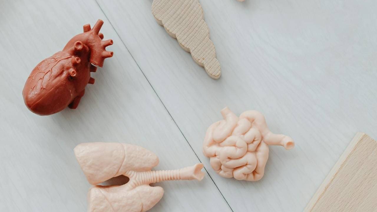 Description of the pic