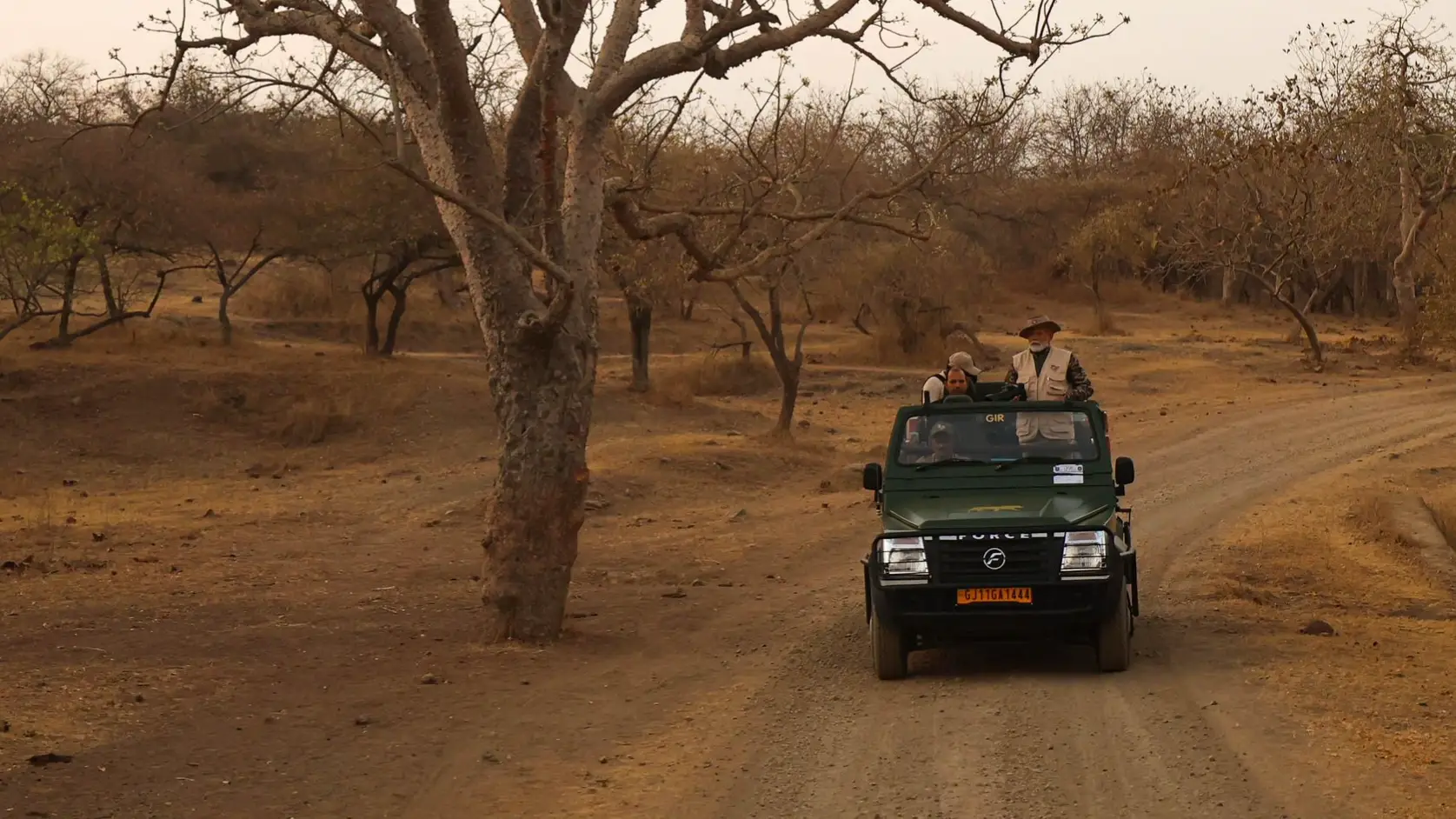 Description of the pic