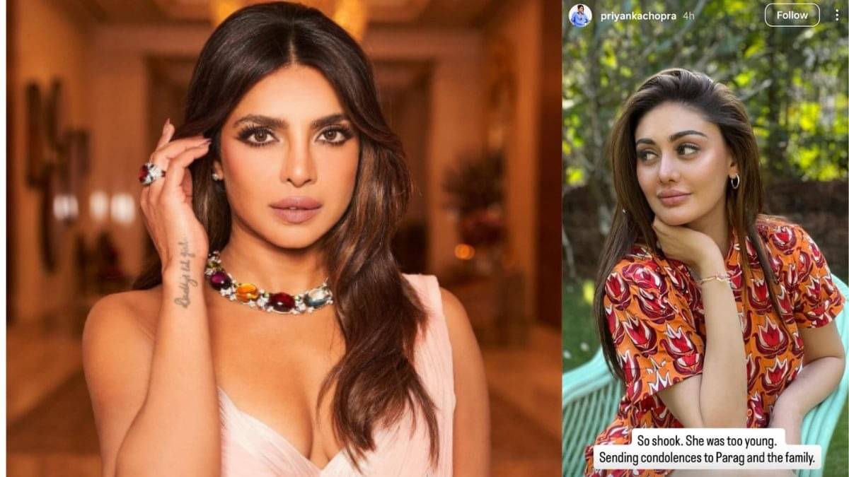 Description of the pic