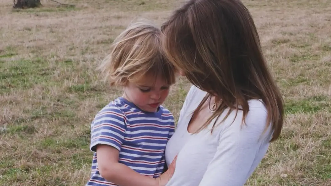 Description of the pic