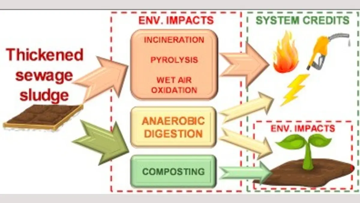Patanjali Investigates Toxin Levels in Sludge Waste Used in Farming