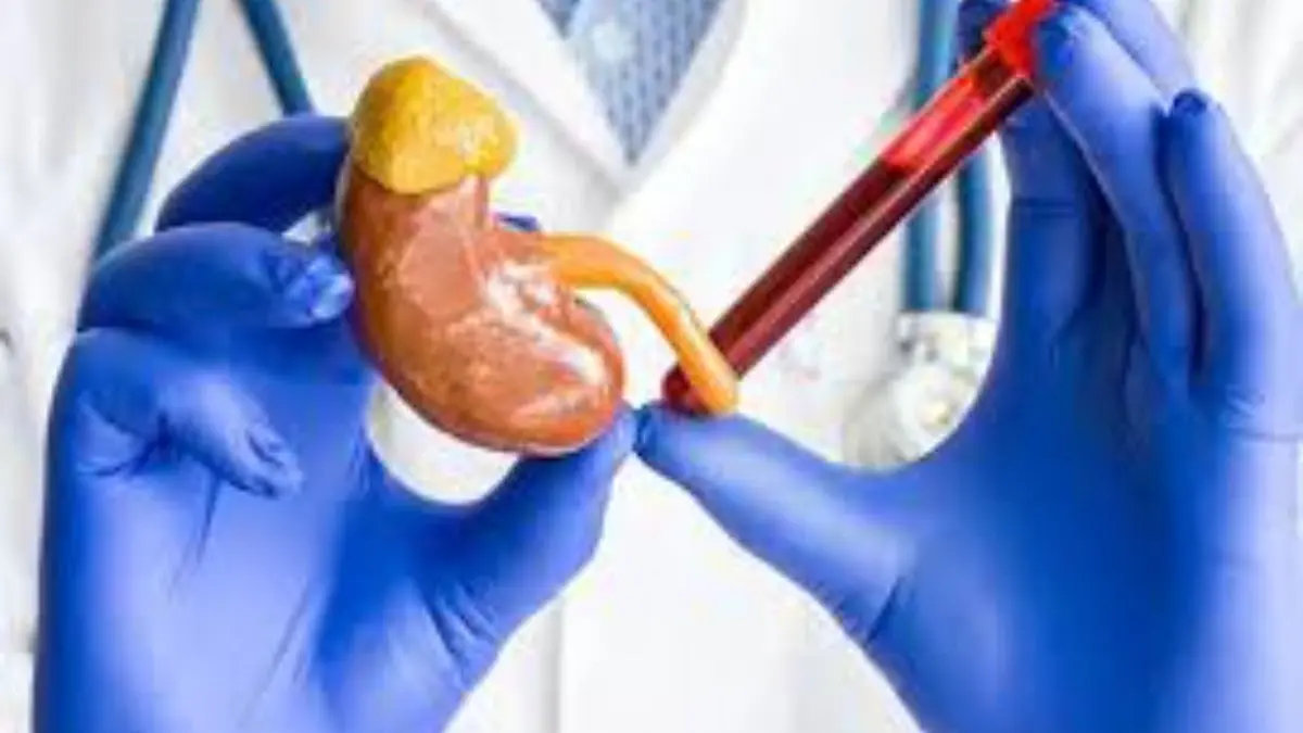 क्रिएटिनिन 5.8 से 0.8 तक: योग, निरामयम् और समग्र स्वास्थ्य का मार्ग Patanjali Kidney Treatment Tips