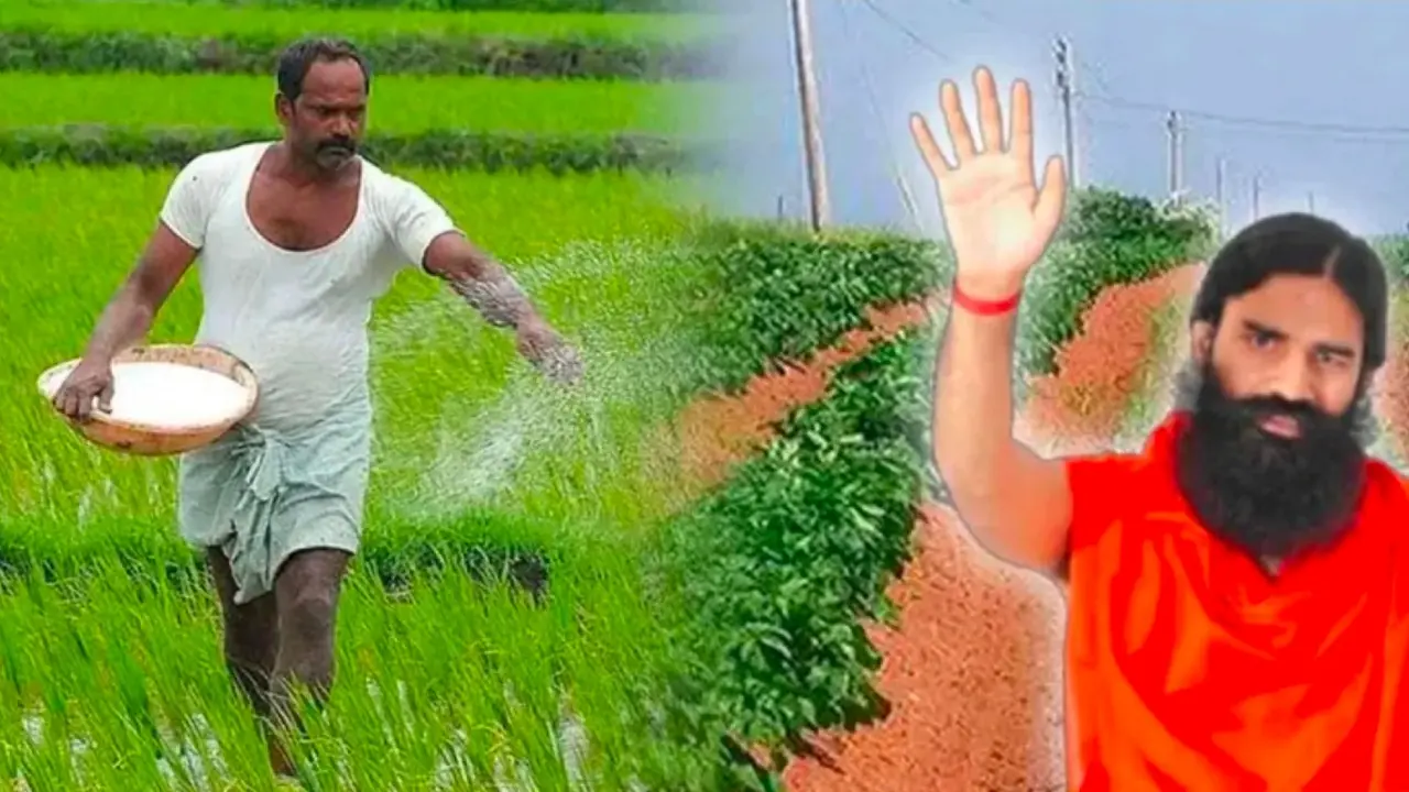 Patanjali Organic Farming