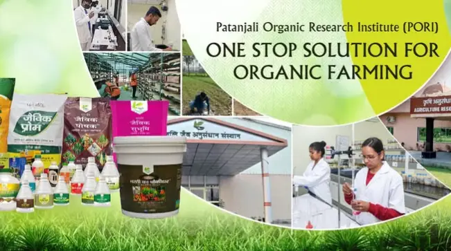 Patanjali: Pioneering Sustainable Agriculture And Empowering Farmers In India Patanjali: Pioneering Sustainable Agriculture And Empowering Farmers In India