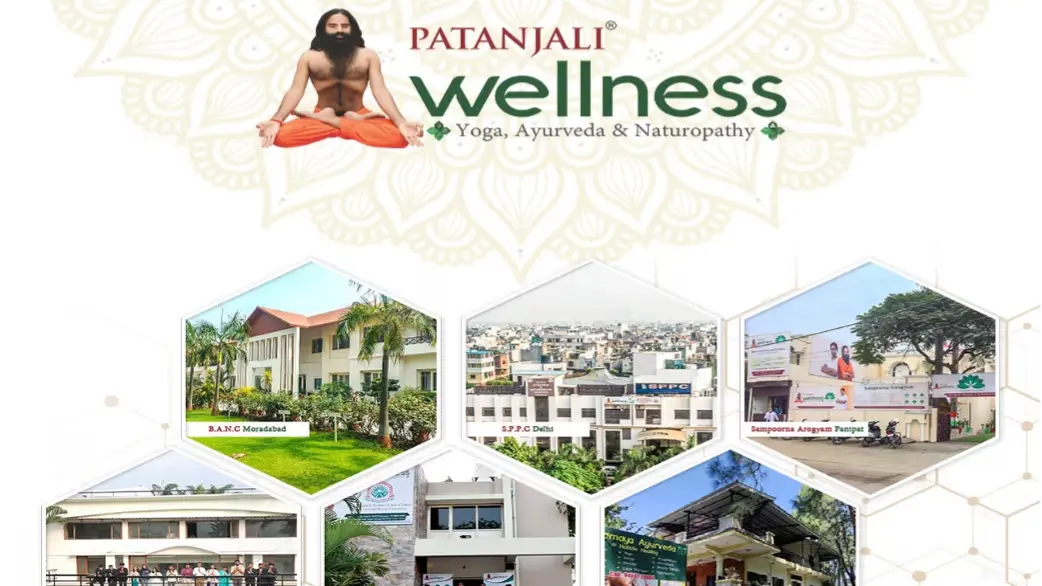 Patanjali’s Contribution To Ayurveda And Holistic Wellness: A New Era Of Natural Health