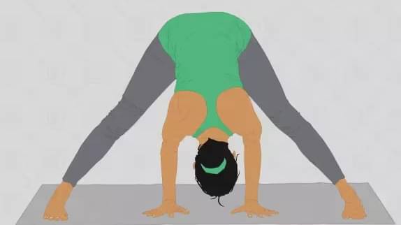 Description of the pic