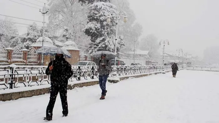 Places In India Where You Can Witness Snowfall In Winter Patnitop