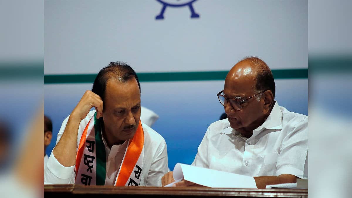 Pawars Unite For Pune Civic Polls Amid Pimpri-Chinchwad, 'Sharad Pawar Not Involved In Decision Making': Rohit Pawar