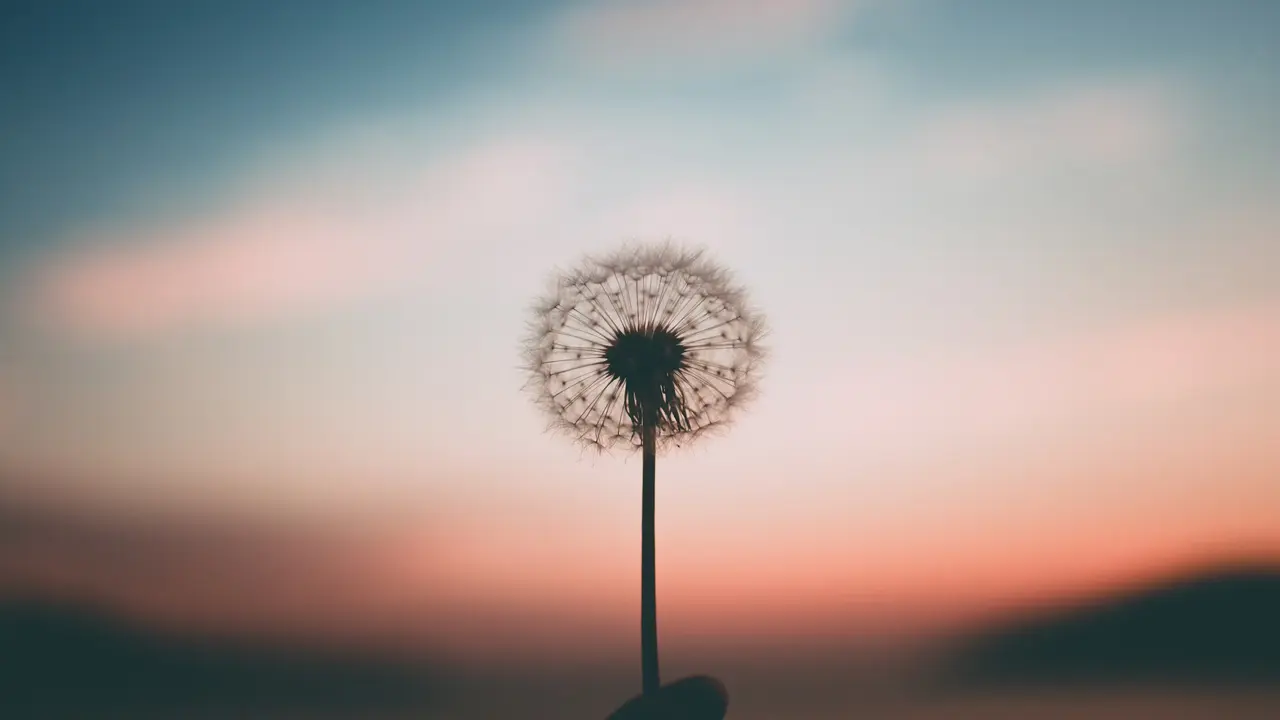 Libra To Gemini, Zodiac Signs Known To Be Harbingers Of Peace Peaceful zodiac signs