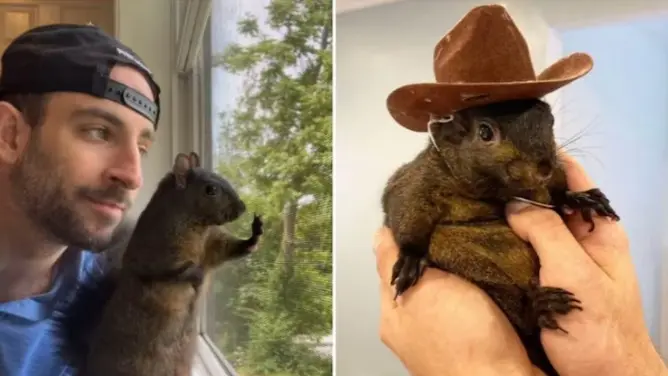 Peanut, the squirrel