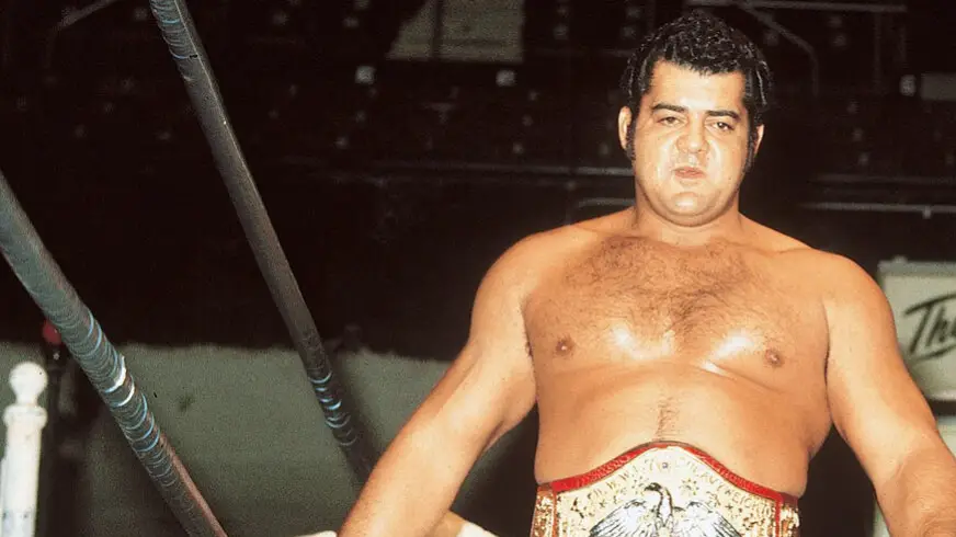 Description of the pic