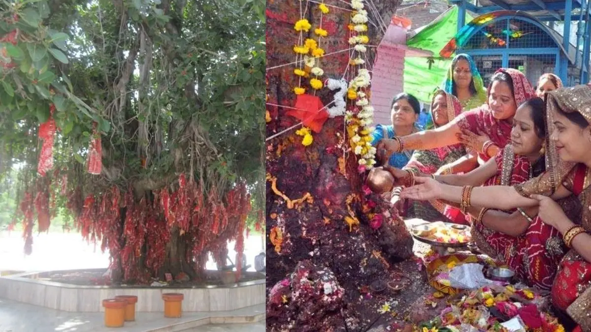 Peepal Tree Puja