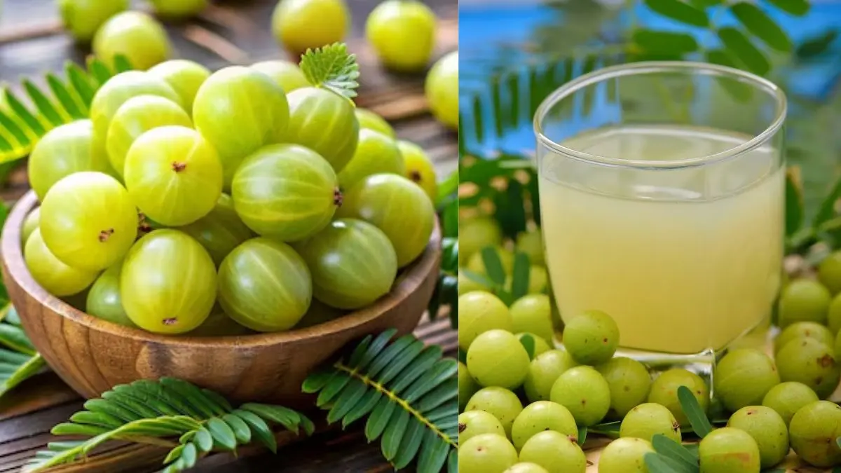people who should never eat amla side effects blood thinner kidney stone health issues Amla Khane Ke Nuksan kya hain