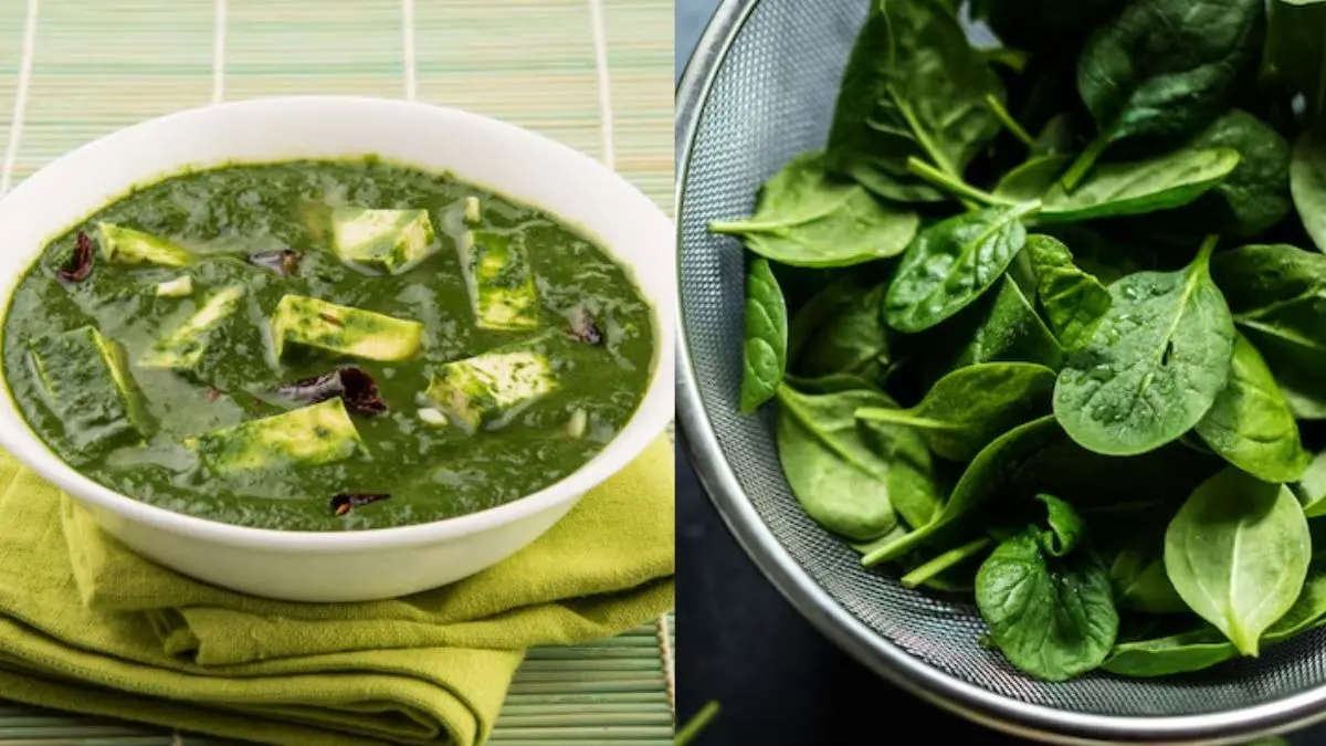 people who should not eat spinach side effects of palak khane ke nuksan know reason why