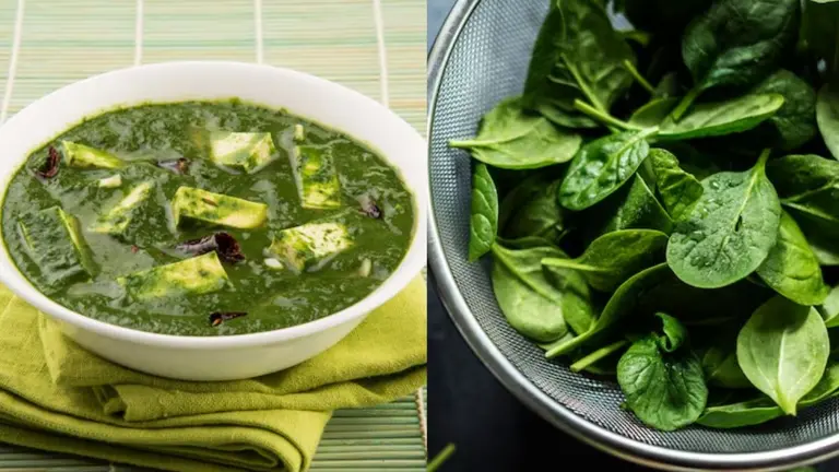 Spinach: किन लोगों को नहीं खाना चाहिए पालक? जानें कारण और इससे जुड़ी सावधानियां, पड़ सकता है सेहत पर भारी people who should not eat spinach side effects of palak khane ke nuksan know reason why