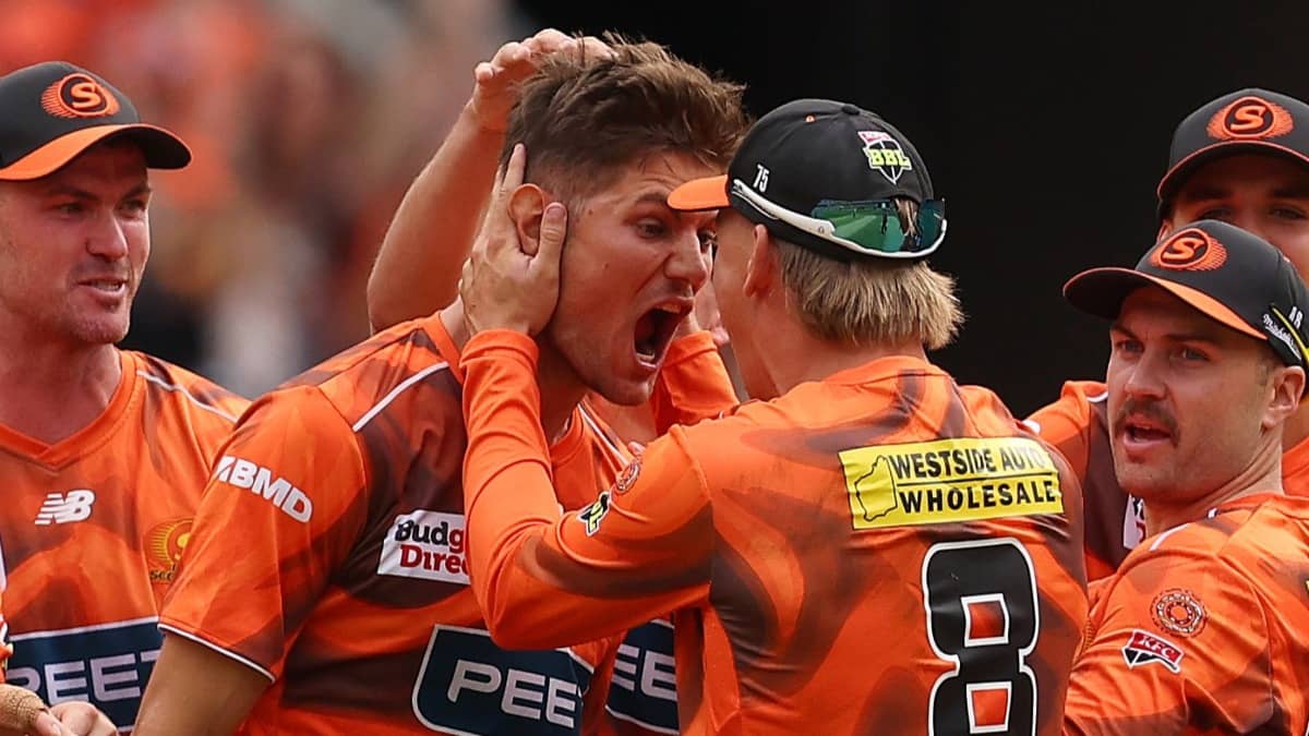 Perth Scorchers players celebrate a wicket