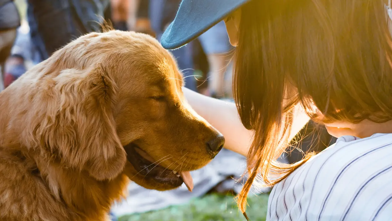 Do You Know About This Indian Temple Where Pets Are Worshiped? Pet