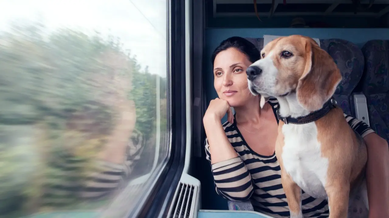 Pet-friendly rail travel in India